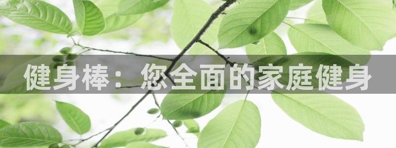 意昂2平台