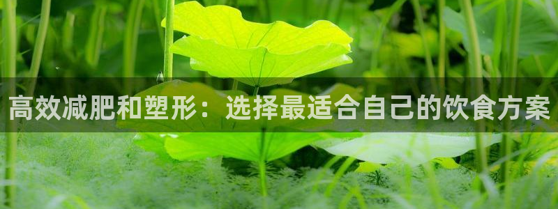 意昂2招商