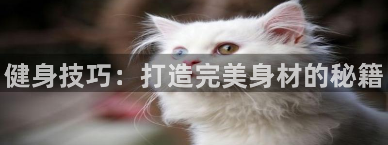 意昂2官方网站