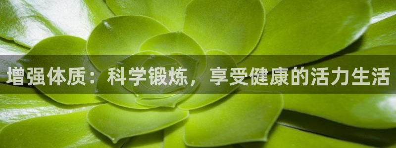 意昂2官网